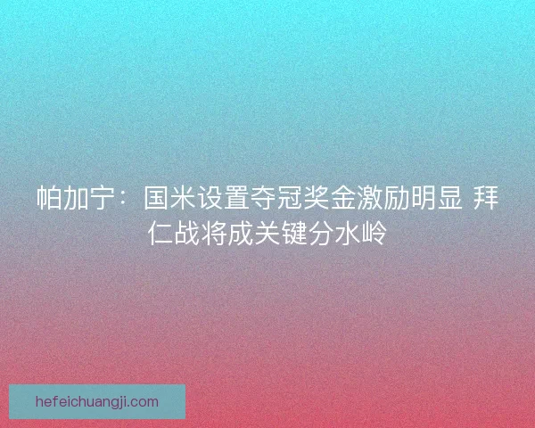 帕加宁：国米设置夺冠奖金激励明显 拜仁战将成关键分水岭